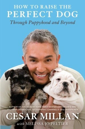 How to Raise the Perfect Dog: Through Puppyhood and Beyond by Melissa Jo Peltier, Cesar Millan