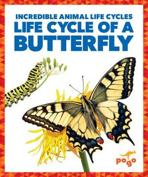 Life Cycle of a Butterfly by Karen Latchana Kenney