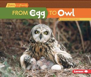 From Egg to Owl by Jennifer Boothroyd