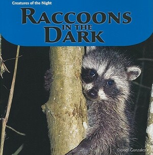 Raccoons in the Dark by Doreen Gonzales