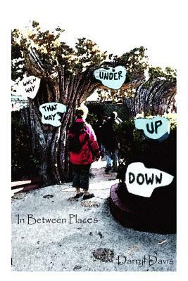 In-Between Places by Darryl Davis