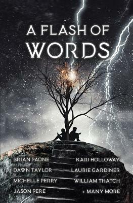 A Flash of Words: 49 Flash Fiction Stories by Brian Paone