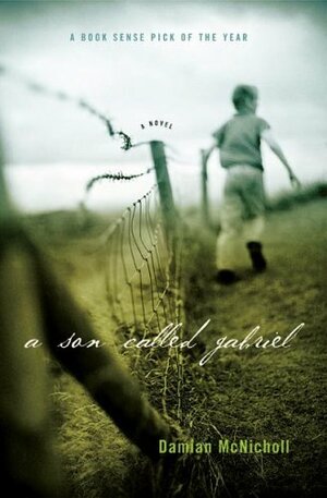 A Son Called Gabriel by Damian McNicholl