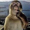 evbone's profile picture