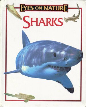 Sharks by Jane Parker Resnick