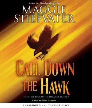 Call Down the Hawk by Maggie Stiefvater