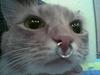 aapplejuicee's profile picture