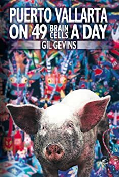 Puerto Vallarta On 49 Brain Cells A Day by Gil Gevins