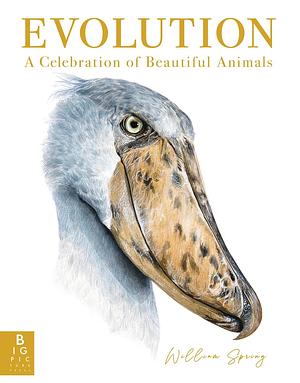 Evolution: A Celebration of Beautiful Animals by William Spring, William Spring