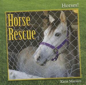 Horse Rescue by Katie Marsico