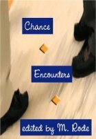Chance Encounters by Steve Berman, Mira Katzman, Kathleen Dale, Lorne Rodman, Dallas Coleman, Catharine Bell Wetteroth, Julia Talbot, Jessany Falcon, Lawrence Schimel, Emily Veinglory, Eumenides, Jordan Castillo Price, Tulsa Brown, M. Jones, C.B. Potts, M. Rode, Sean Michael, Rachel Kramer Bussel, Gabriel Chevallier, J. Present, Jodi Payne, Marcel K. Bromius, Moses O'Hara, Vincent Diamond, Edith Walker, Erastes, B.A. Tortuga