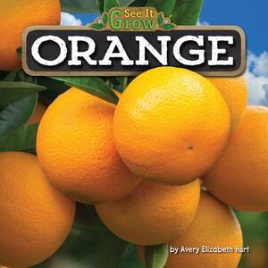 Orange by Avery Elizabeth Hurt
