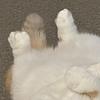 meamoomoo_'s profile picture