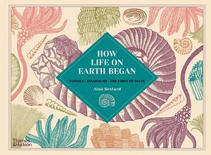 How Life on Earth Began: Fossils, Dinosaurs, The First Humans by Aina Bestard, Aina Bestard