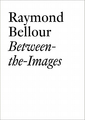 Between-The-Images by Raymond Bellour