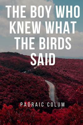 The Boy Who Knew What The Birds Said by Padraic Colum