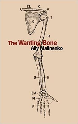 The Wanting Bone by Ally Malinenko