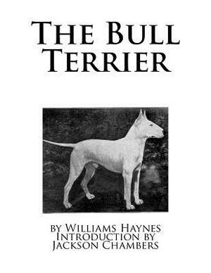 The Bull Terrier by Williams Haynes