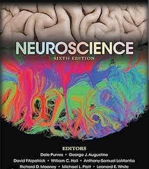 Neuroscience 6th Edition by Dale Purves