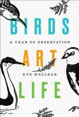 Birds Art Life: A Year of Observation by Kyo Maclear