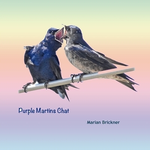 Purple Martins Chat by Marian Brickner