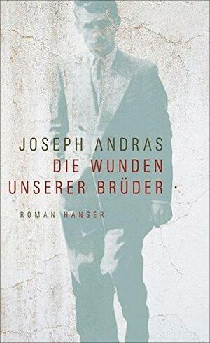 Die Wunden unserer Brüder: Roman by Joseph Andras