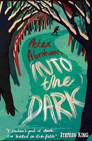 Into the Dark: An Echo Falls Mystery: 2 by Peter Abrahams