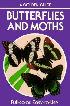 Butterflies and Moths by Robert T. Mitchell, Herbert Spencer Zim, André Durenceau