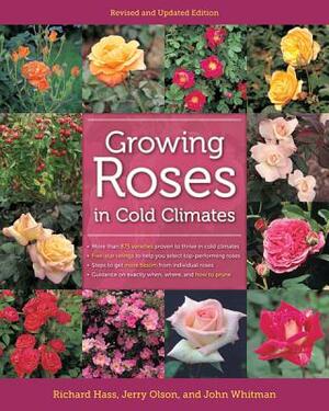 Growing Roses in Cold Climates by Jerry Olson, Richard Hass, John Whitman