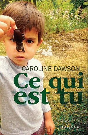 Ce qui est tu by Caroline Dawson