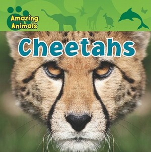 Cheetahs by Sarah Albee, Kate Delaney