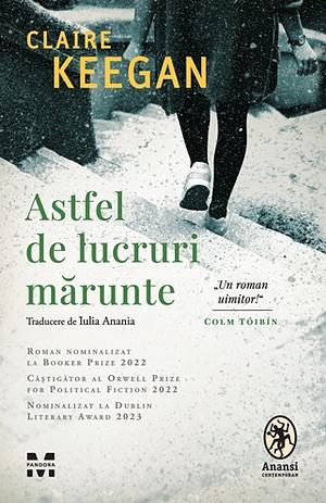 Astfel de lucruri mărunte  by Claire Keegan