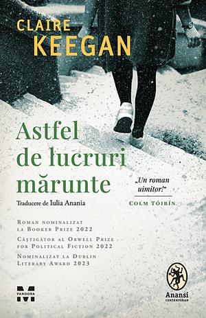 Astfel de lucruri mărunte  by Claire Keegan