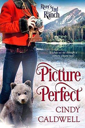 Picture Perfect by Cindy Nichols, Cindy Nichols