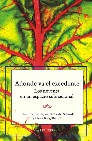 Adonde va el excedente. Los noventa en un espacio subnacional by Roberto Schunk, Leandro Rodríguez, Elena Riegelhaupt