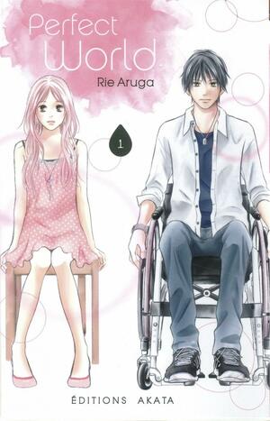 Perfect World, Tome 1 by Rie Aruga