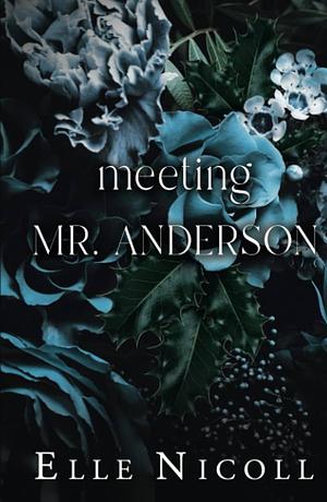 Meeting Mr. Anderson by Elle Nicoll