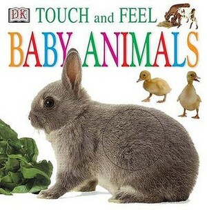 Touch and Feel Baby Animals by Jennifer Quasha