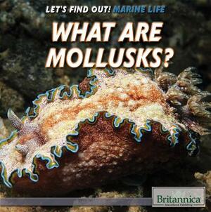 What Are Mollusks? by Sarah Machajewski