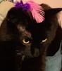 silaparie's profile picture