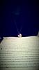 kadyofbooks's profile picture