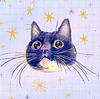 sophieisme's profile picture