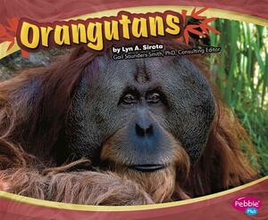Orangutans by Joanne Mattern