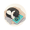 mchapters_'s profile picture