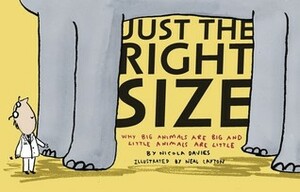 Just the Right Size: Why Big Animals Are Big and Little Animals Are Little by Nicola Davies, Neal Layton