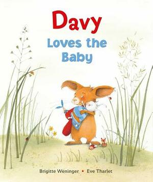 Davy Loves the Baby by Brigitte Weninger