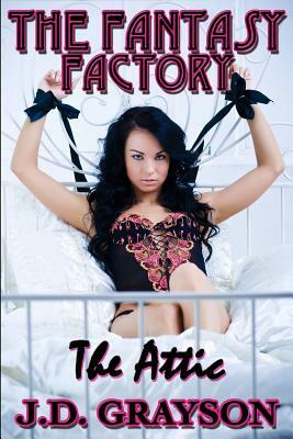 The Fantasy Factory 2: The Attic by J. D. Grayson