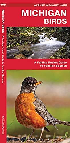 Eastern Seashore Life: An Introduction to Familiar Species by James Kavanagh, Waterford Press