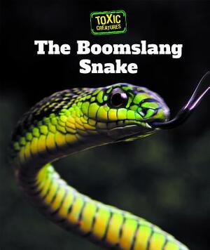 The Boomslang Snake by Alicia Klepeis