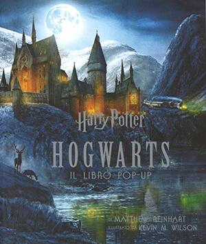 Harry Potter. Hogwarts. Il libro pop-up by Matthew Reinhart